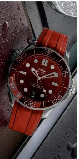 OMEGA Seamaster Diver 300M James Bond 2531.80.00